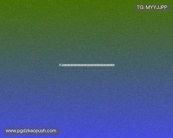 PG模拟器试玩入口官网详细指南，帮助新手快速上手模拟器操作，轻松开启游戏之旅